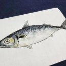 먹캘리그라피과정 이미지