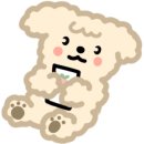뉴본의원 이미지