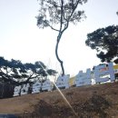 숲속 향기 작은도서관 | 대구 도서관 - 앞산숲속책쉼터 : 햇살채 후기