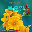 2층 회의실 티스토리