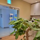 조정대로 | 미사소호사무실 장기 이용자가 많은 이유가 있는 하남비즈니스센터 후기