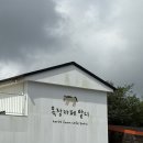 발산목장 | 아이와 함께 가기 좋은 '목장카페 밭디' 풀코스