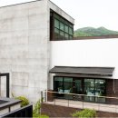 타피올라 이미지