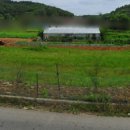 연천부동산공인중개사사무소 이미지