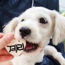 장천동경로당 이미지