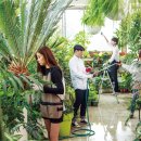 디자인농림 이미지