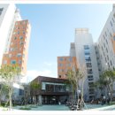 카이스트 이미지