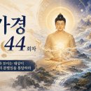 능가경 강해 44회 이미지