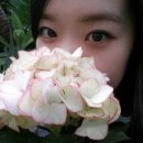 호산나화원 이미지