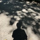 통합의 징표/오정순 이미지