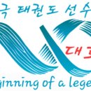 용인대 대호 태권도 이미지