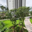 면목동-112 이미지