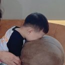 아리봄