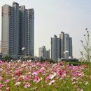 행복한들 이미지