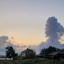 구름열매 이미지