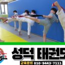 성덕태권도 이미지