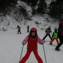 대마초등학교 이미지