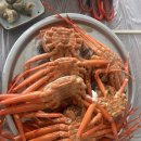 구룡포홍게무한리필 | [포항 구룡포] 구룡포 맛집 "구룡포홍게무한리필" 내돈내산 리얼 후기