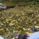 코지키즈펜션 | 수영장이 있고, 계곡체험도 가능한 가평 코지키즈펜션 이용후기