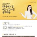 2025년 상반기 KB손해보험 6급 신입사원 공개채용 공고(~3/31) 이미지