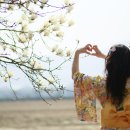 숲속의하루 Daum카페