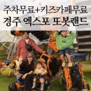 경주 아이랑 가볼만한곳 또봇랜드 정크아트뮤지엄 솔직 후기 (나이별 추천·불편한 점 포함)