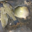 사계지낚시터 이미지