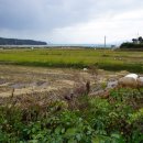 신흥마을영농조합법인 이미지