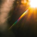 둔산한의원 이미지