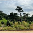 생명의 숲 | 메트라이프생명 사회공헌재단 학교숲 조성 아이들이 만든 4개월의 기적