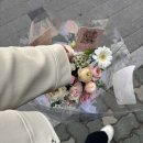 아뜰리에 몽 | 노원 어버이날 꽃 아뜰리에 몽플라워 10년 경력의 센스에 반해 재방문 카네이션 바구니 예약 후기