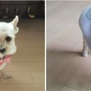 대동음향 이미지