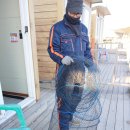 독도바다낚시터 이미지