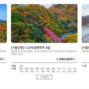 굿타임투어 이미지