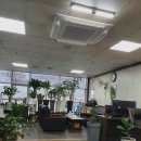 브라더모터스 | 중고차 매매 브라더모터스 대전 유성구 복용동 가격 후기