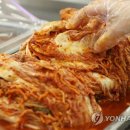 한반도 김치
