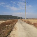 남천제방길 이미지