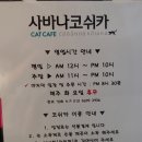 사바나 코쉬카 | [부천 중동] 신중동역 근처 고양이카페 캣카페 &#39;사바나코쉬카&#39;(+영업시간)