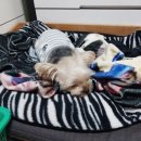 네모약국 이미지