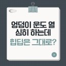 힙딥(Hip Dip) 총정리, 운동해도 안 채워지는 진짜 이유 | 전주PT
