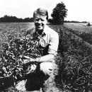 재임농장 이미지