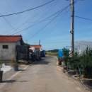 한자보건진료소 이미지