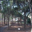 한라수목원 이미지