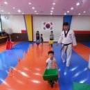 용인대 큰나라 태권도 이미지