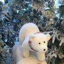 카페그냥 이미지