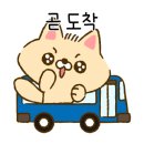 티앤티메디코스