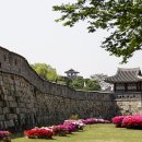 수원-1762 이미지