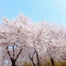 [시민] 중국어회화 이미지