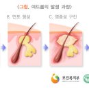 생생비움지사