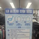 구미대로-27 | 무주 골프매장 추천 다이와 FF247 교체 후 비거리 수직 상승 후기